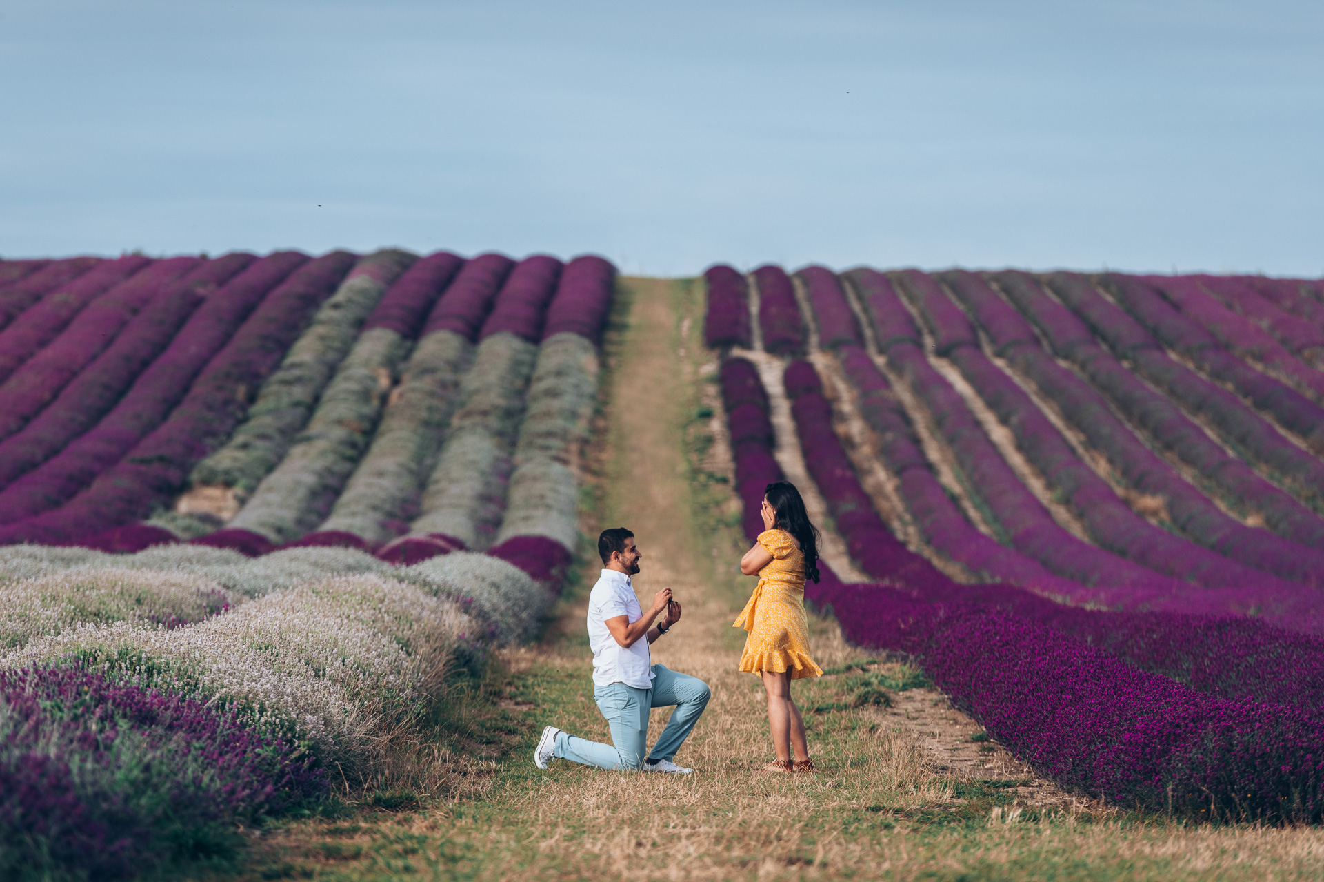Proposal at Hitchin Lavender