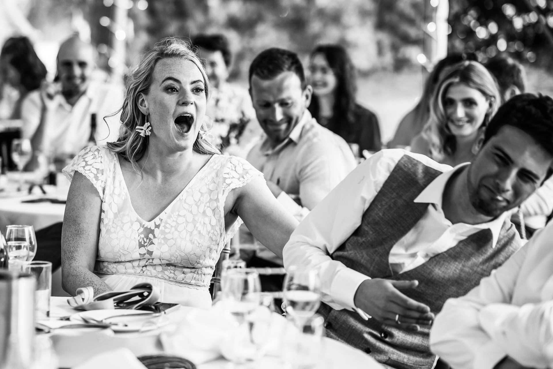 Alpaca's getting romantic at a wedding at coltsfoot country retreat