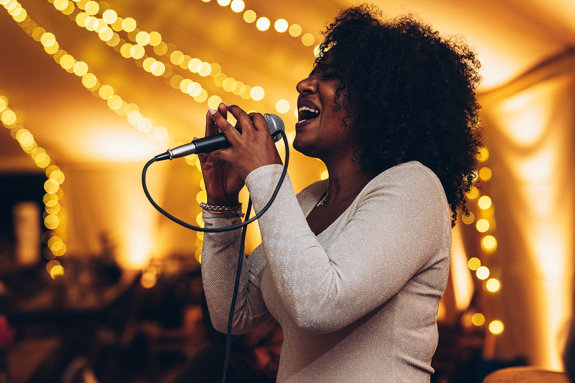 Alpaca's getting romantic at a wedding at coltsfoot country retreat